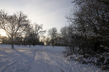 Image showing Winter