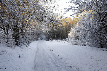 Image showing Winter