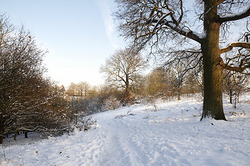 Image showing Winter