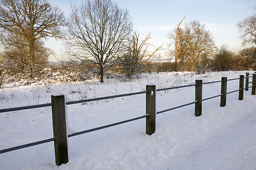 Image showing Winter