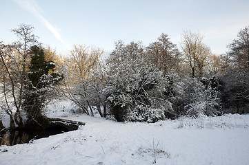 Image showing Winter