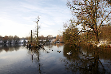 Image showing Winter lake