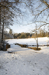 Image showing Winter