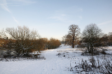 Image showing Winter