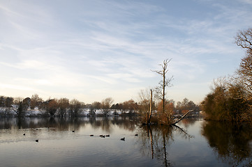 Image showing Winter lake