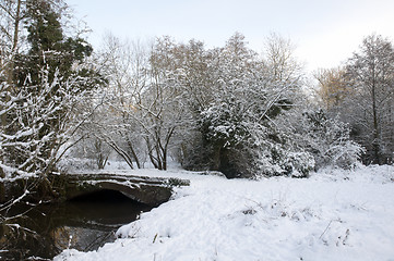 Image showing Winter