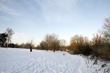 Image showing Winter