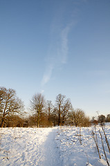 Image showing Winter