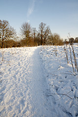 Image showing Winter