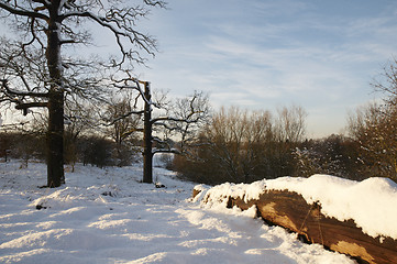 Image showing Winter