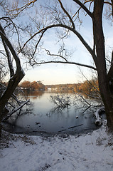 Image showing Winter lake