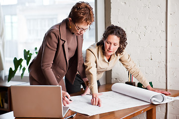 Image showing Working businesswomen