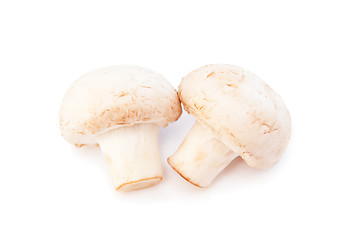 Image showing Champignons