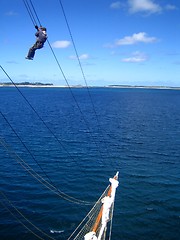 Image showing Rigging