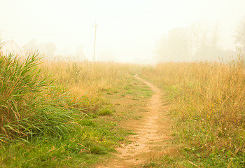 Image showing meadow in white  smoke