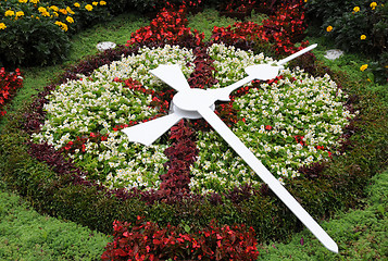 Image showing Flower Clock