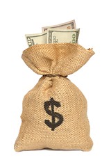 Image showing Money Bag