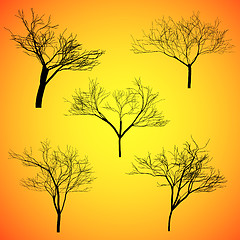 Image showing Five Silhouette Vector