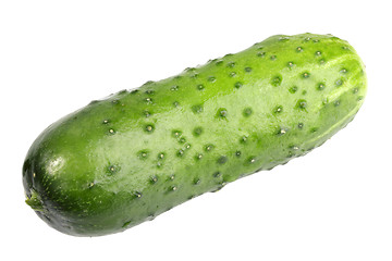 Image showing Single green fresh cucumber