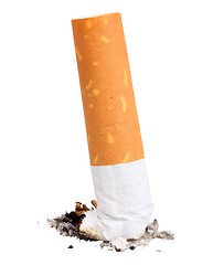 Image showing Single cigarette butt with ash