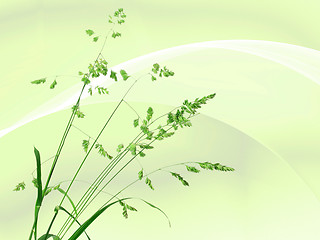 Image showing Background with single branch of green grass