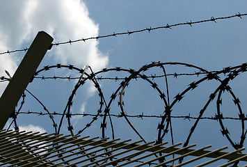 Image showing barbed wire