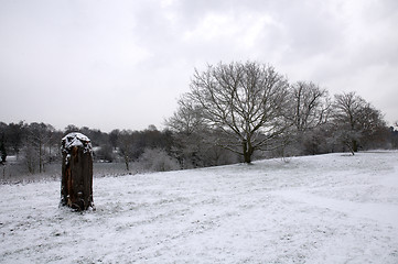 Image showing Winter park