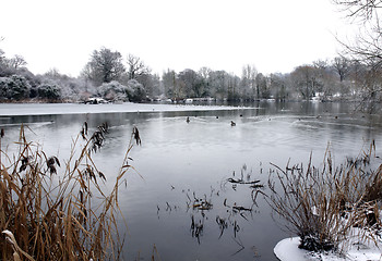 Image showing Winter lake