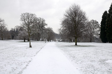 Image showing Winter park