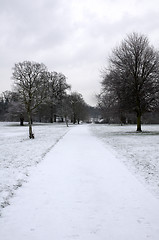 Image showing Winter park