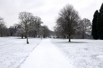 Image showing Winter park