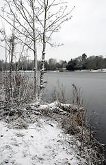 Image showing Winter lake