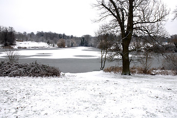 Image showing Winter lake