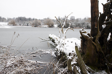 Image showing Winter lake