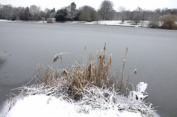 Image showing Winter lake