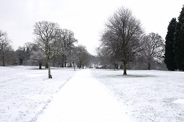 Image showing Winter park