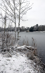 Image showing Winter lake