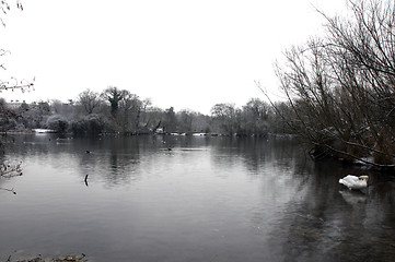 Image showing Winter lake