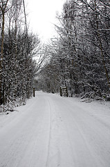 Image showing Winter