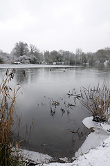 Image showing Winter lake