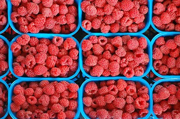 Image showing Raspberries