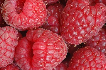 Image showing Raspberries