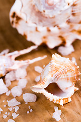 Image showing sea shells and salt 