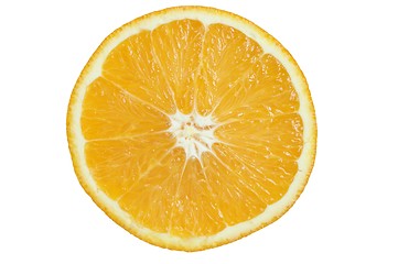 Image showing Orange