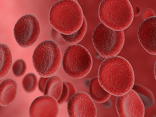 Image showing Red bloodcell flow