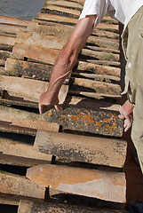 Image showing Roof thatcher