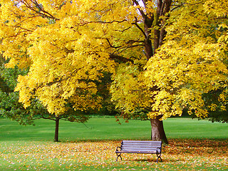 Image showing City park in autumn