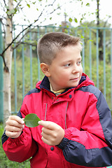 Image showing Boy with leaf looking sideways