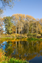 Image showing Autumn landscape