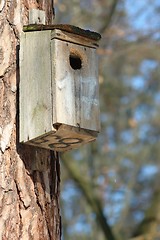 Image showing Birds House